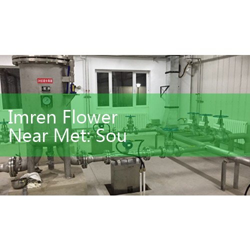 Imren Flower Near Met: Sourcing Premier Botanical Boutiques and Floral Exhibitions in NYC Museum District